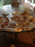 image-1423178131.webp