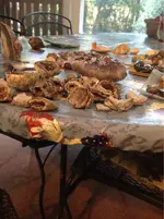 image-1189466009.webp
