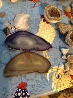 image-2273800931.webp