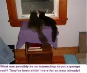DSCF1876.webp