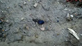2012-08-13_20-30-37_418 (1280x722).webp