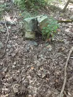 image-1865548222.webp