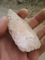 downloadfile-28.webp