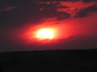 folder 2 009.webp