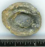 Bullet (fired)035.webp