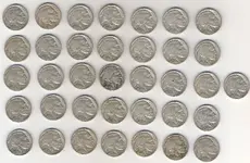 72512buffalo36.webp