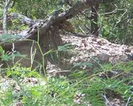 100_0778.webp 100_0778.webp