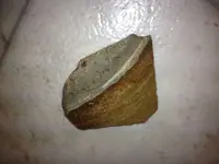 image-487470022.webp