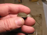 B 083111 Excelcior Button Side.webp