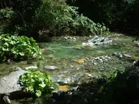DSCF2270.webp