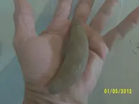 004.webp