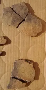 Petun shards 1.webp