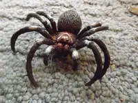 DSCF1941.webp