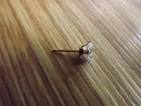 DSCF1956.webp