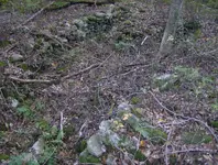colombus day hunt 053.webp