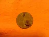 belt buckle back.webp