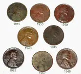 Wheats dates.webp