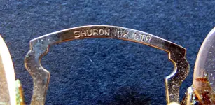 shuron 10k ctr bridge.webp