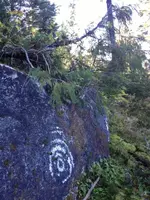 image-2814513516.webp