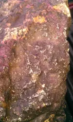IMAG0280.webp