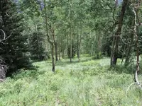 552077_10151095457074123_176401139_n.webp