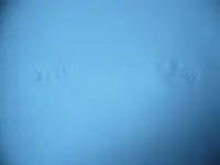 P1040510.webp