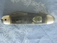 DSCN8345.webp