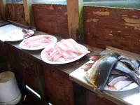 100_0550.webp 100_0550.webp
