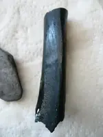 midden bone 1 - Copy.webp