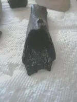 hollowed midden bone 2 - Copy.webp