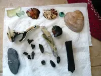 midden area items.webp