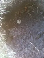 image-1772648610.webp