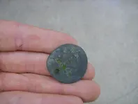 mystery coin 003.webp