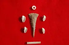 Feurt Site Finds (210).webp