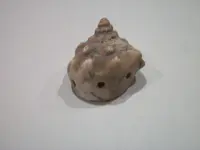 Arawak Artifacts (39).webp