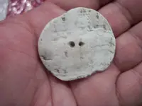 Arawak Artifacts (42).webp