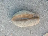 abrading stone with groove beach.webp