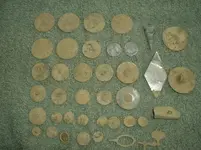 My finds - dirty.webp