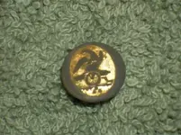 Tom's button.webp