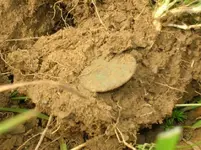 Dirt shot 4.webp