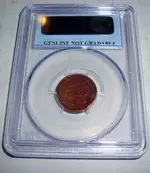 DSCN4359.webp