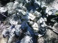 geocache2.webp