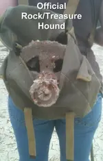 Rock Treasure Hound.webp
