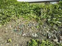 ForumRunner_20120824_181128.webp