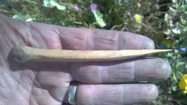Awl24a.webp