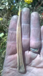 Awl24b.webp