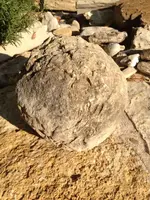 image-4124024880.webp