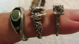 8-15 rings.webp
