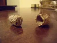DSCF1808.webp