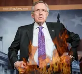 Liar-Liar-Pants-On-Fire.webp